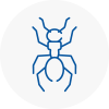 Ant Removals In Morecambe
