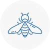 Bee Nest Removal Morecambe