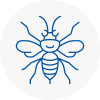 Morecambe Hornet Nest Removals