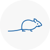 Mice Exterminators In Morecambe