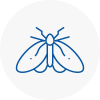 Moth Control Specialists In Morecambe