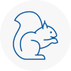 Morecambe Rodent Removals
